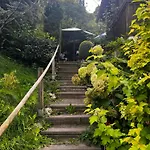 Patzberg Liesl * 도르프가스테인