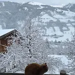 Patzberg Liesl 펜션 도르프가스테인