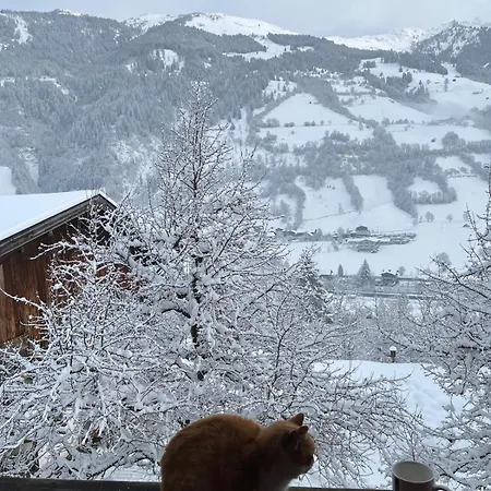 Patzberg Liesl Сasa de vacaciones Dorfgastein