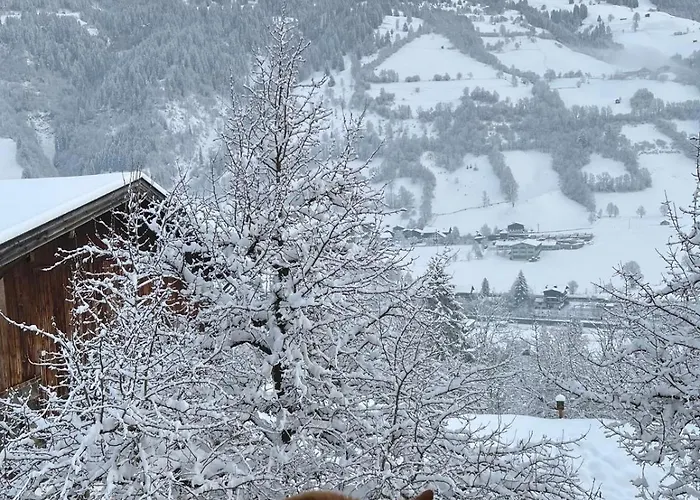 Patzberg Liesl Semesterbostad Dorfgastein